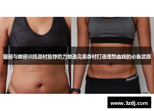 腿部与腹部训练器材推荐助力塑造完美身材打造理想曲线的必备武器